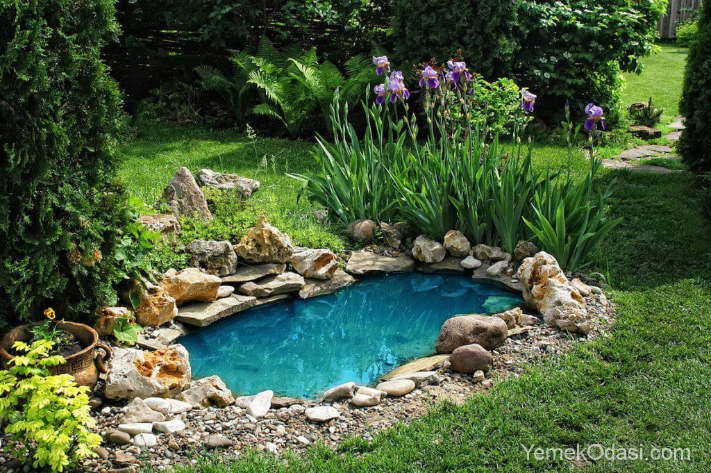 Bahçenizi Açacak Dekoratif Havuz Fikirleri 1