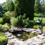 Bahçenizi Açacak Dekoratif Havuz Fikirleri 1