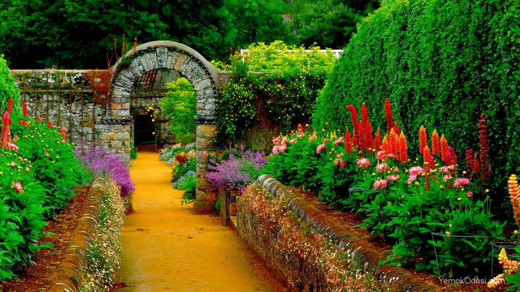 ca. 1960-1994 --- Raised beds of dahlias and lupins flank the path leading to a stone arch covered with clematis. Erigerons grow on the granite retaining walls. UK, ca. 1960-1994. --- Image by © Michael Boys/CORBIS
