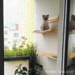 balkon-kedi-pilesi