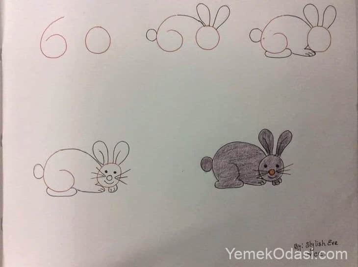 tavşan çizimi